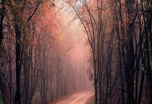 热刺传奇队6-2米兰荣耀队，罗比-基恩戴帽，皮尔洛任意球世界波.