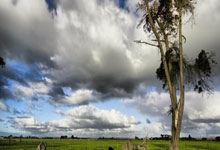 💥大雾造7+！瓦尔迪破门迎38岁生日，贾斯汀梅开二度，莱斯特城暂5-2女王公园.