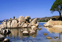 皇冠体育官网：伍兹与特朗普前儿媳高调官宣恋情 晒出亲密合照.